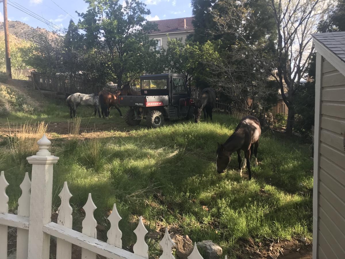 B Street House Inn Virginia City Luaran gambar